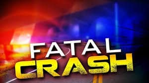 Woman Dead after Fatally Crashing into a Cow in Gaines County