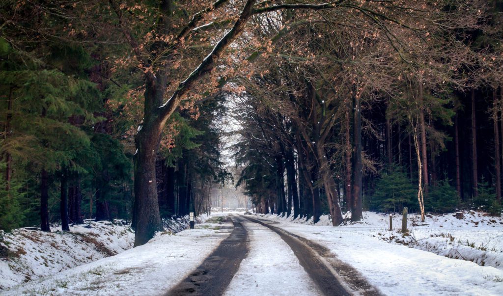 icy roads