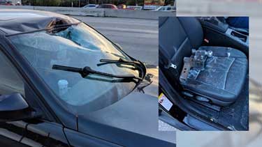 windshield