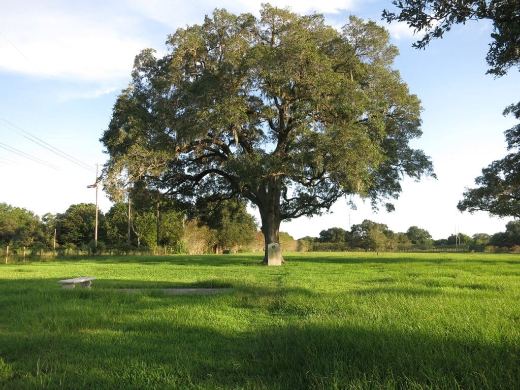 Sutliff & Stout, Texas Personal Injury Lawyers West Columbia